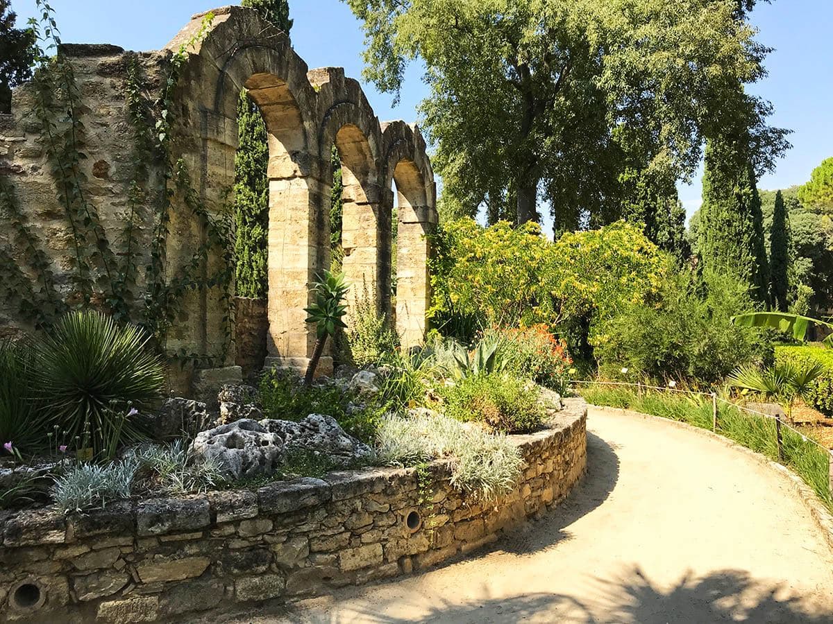 jardin des plantes Montpellier
