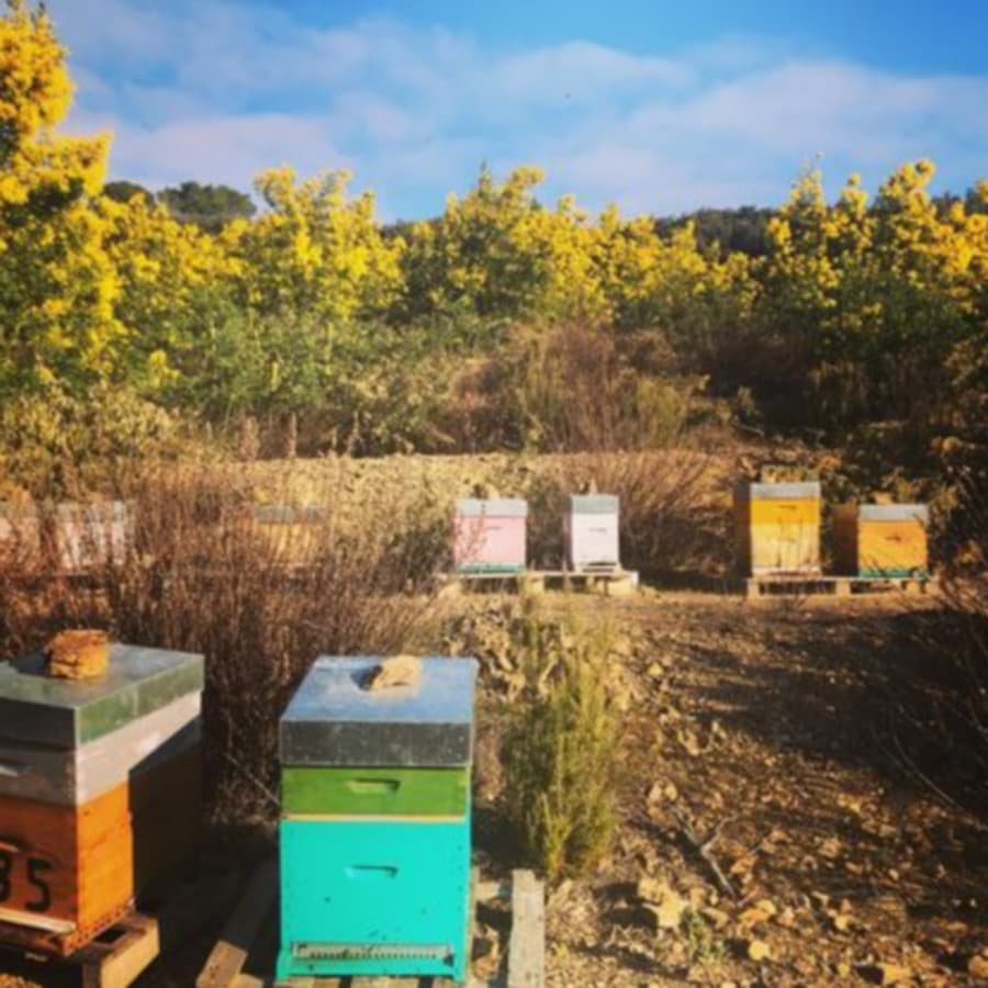 DOMAINE LA BOSQUE - CESSENON - OCCITANIE