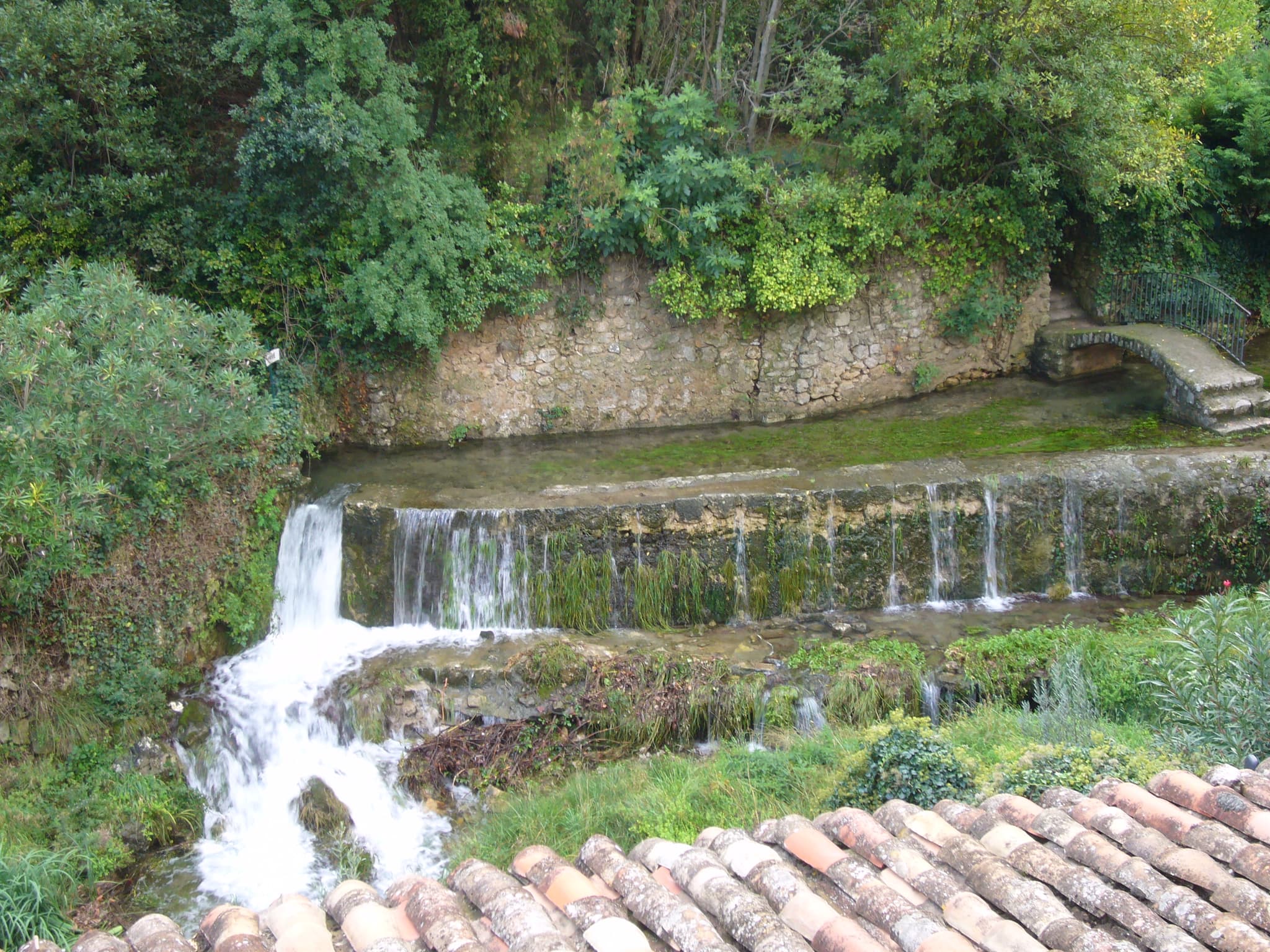 La cardabelle 6