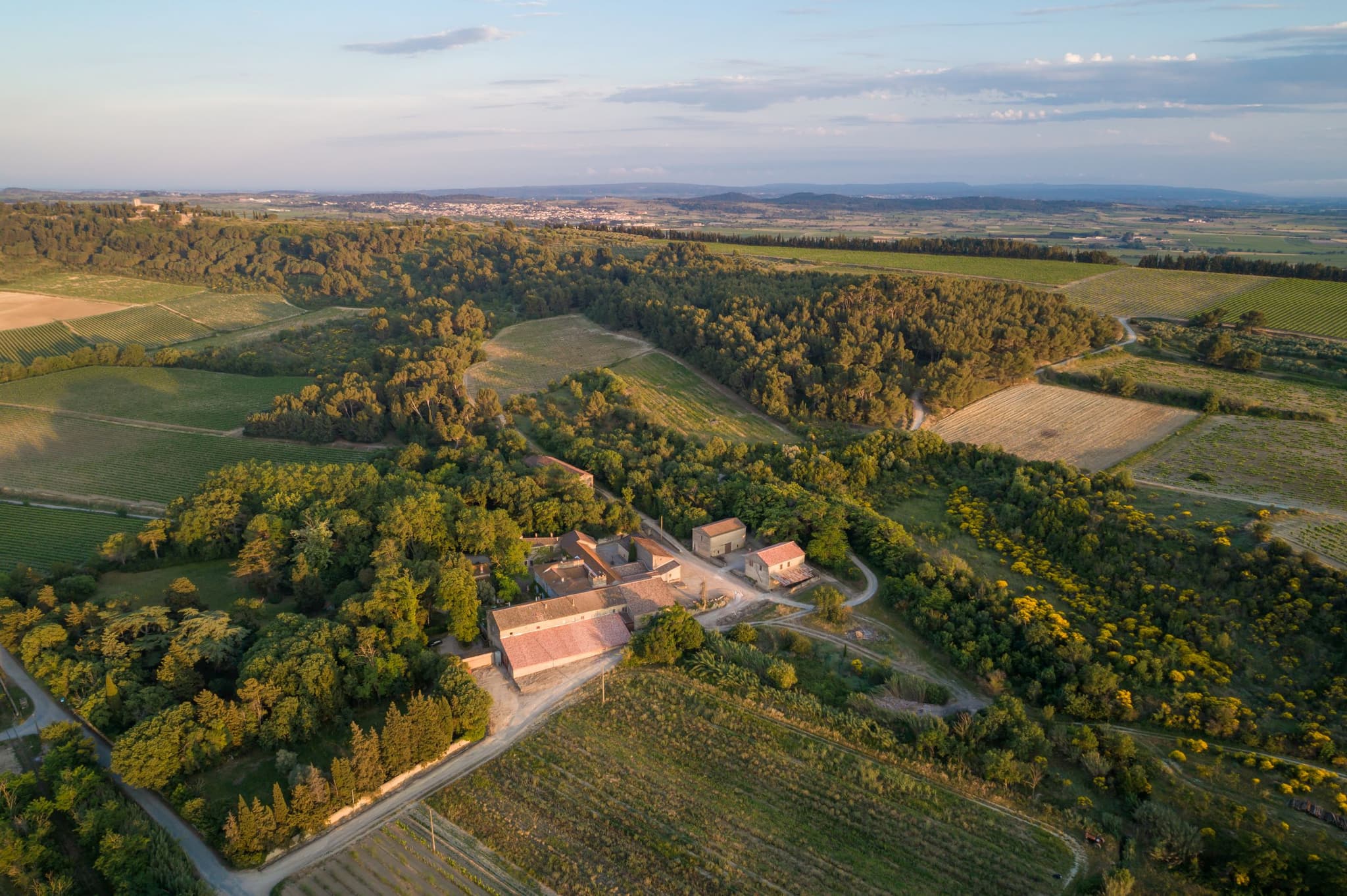 Domaine de Soustres - vue des parcelles de vigne