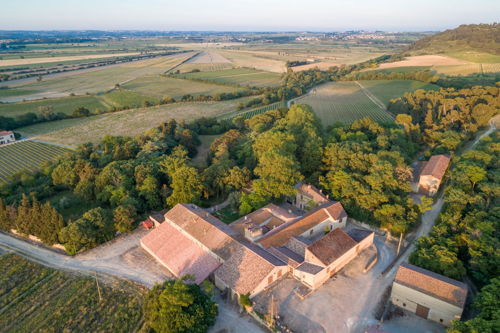 Domaine de Soustres - Vue des bâtiments de la cave