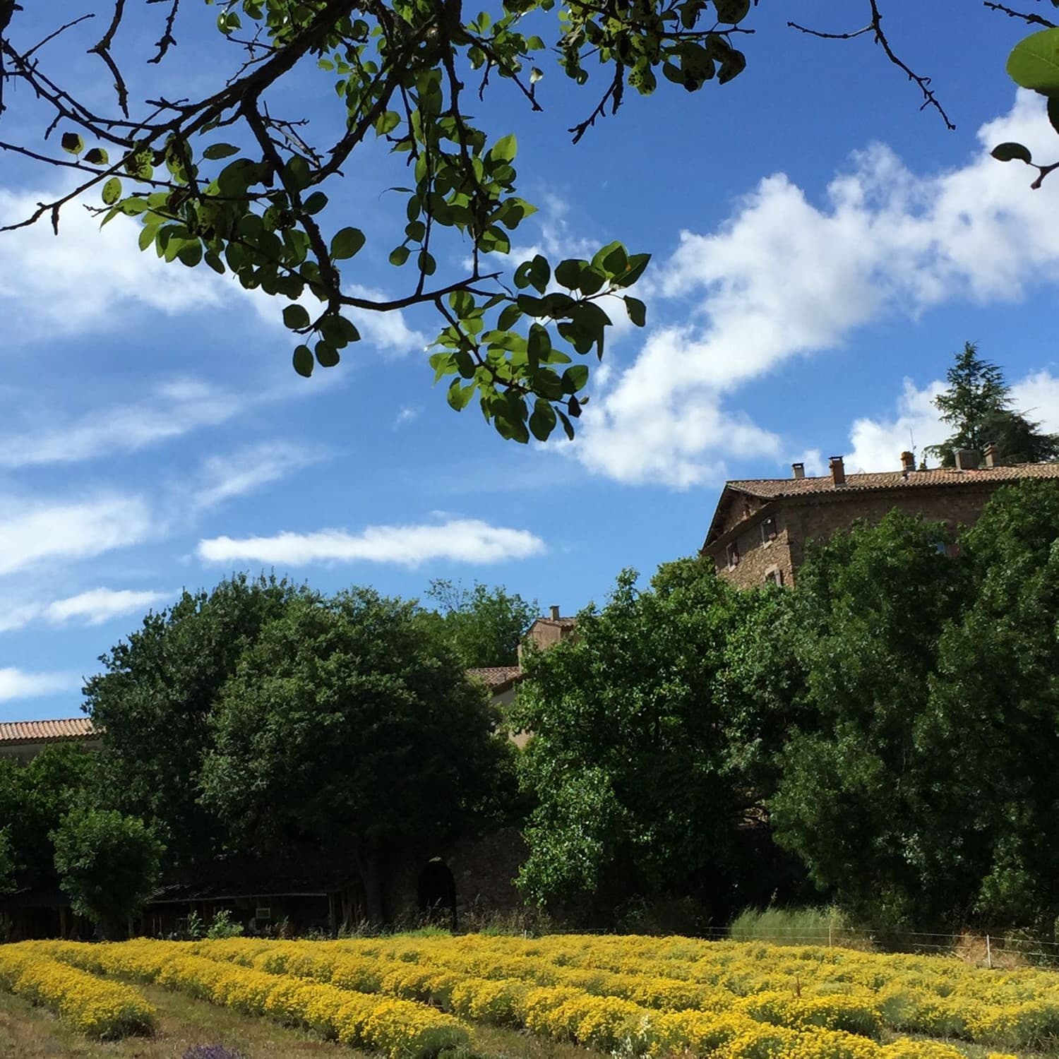 DOMAINE DE POUZES