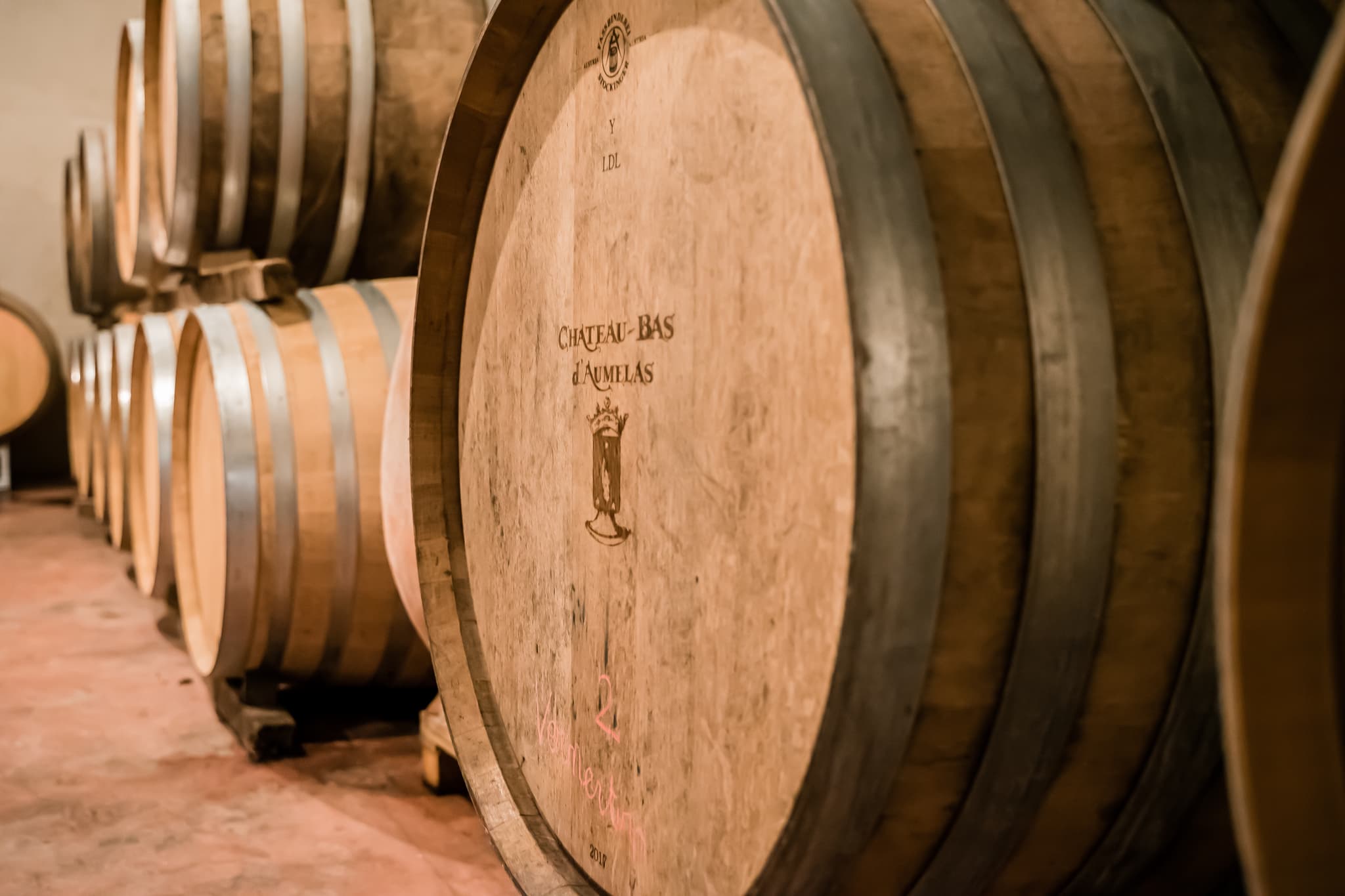 Barriques