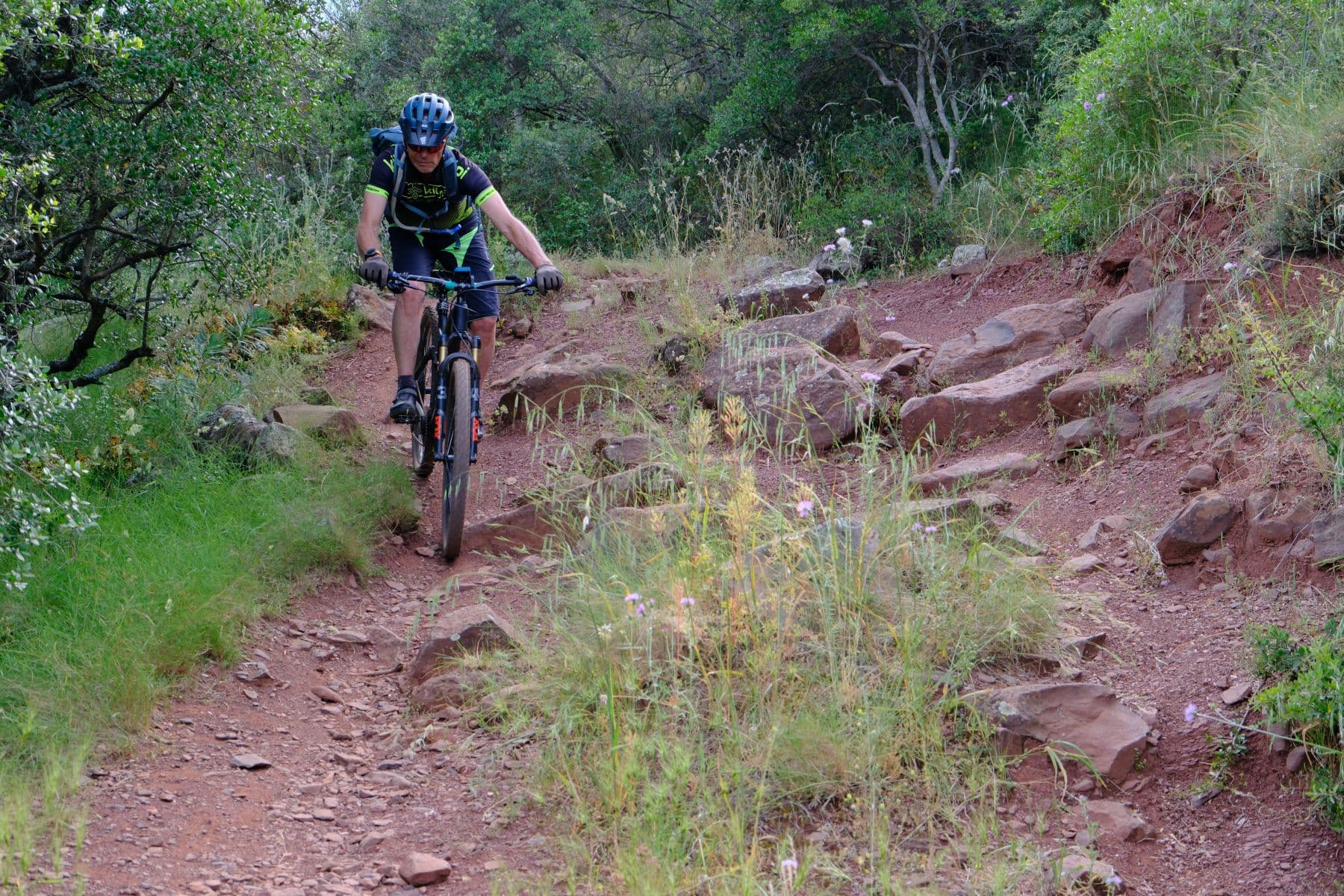 VTT