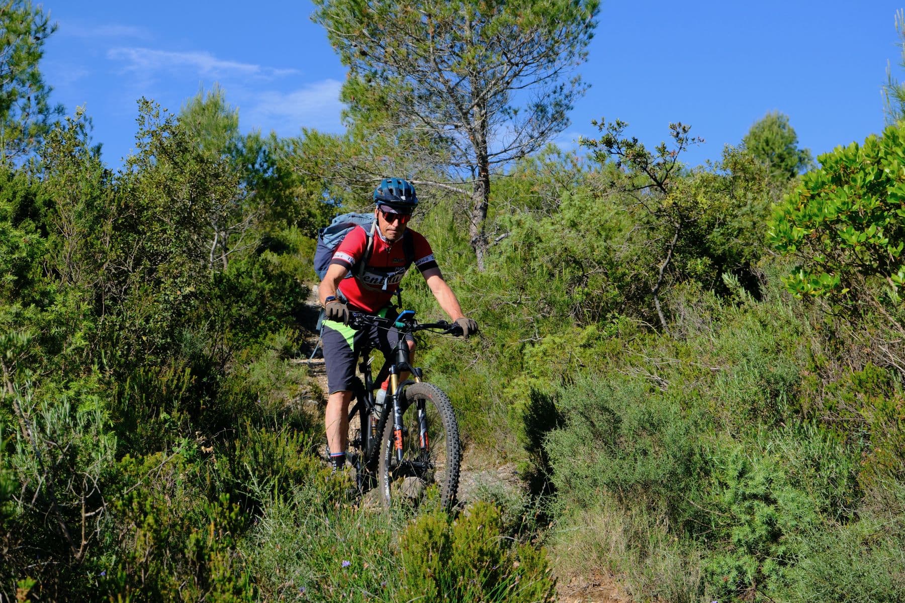 VTT