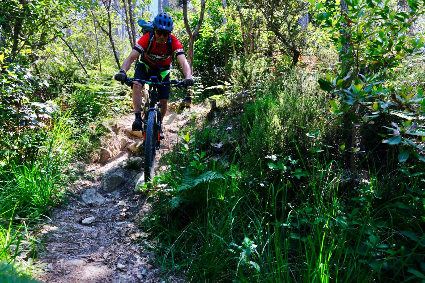 VTT