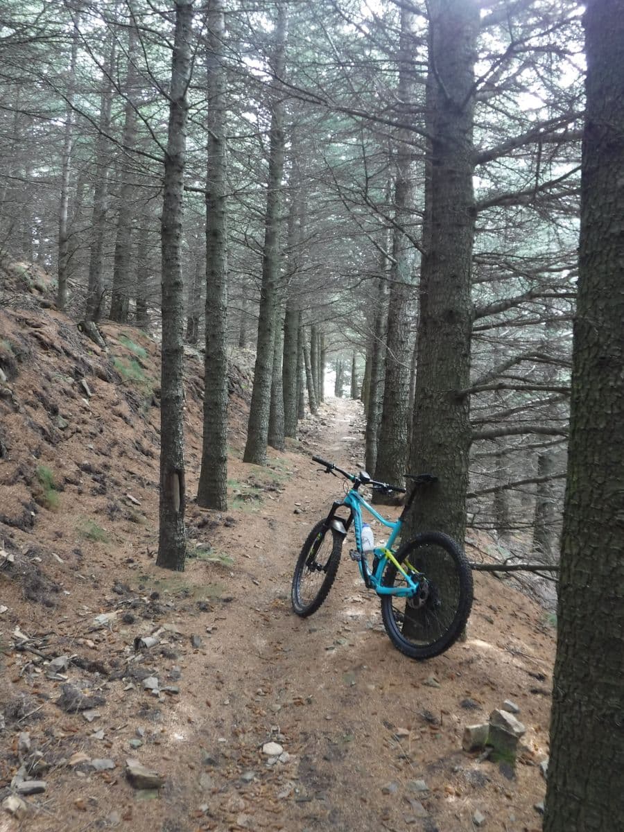 VTT