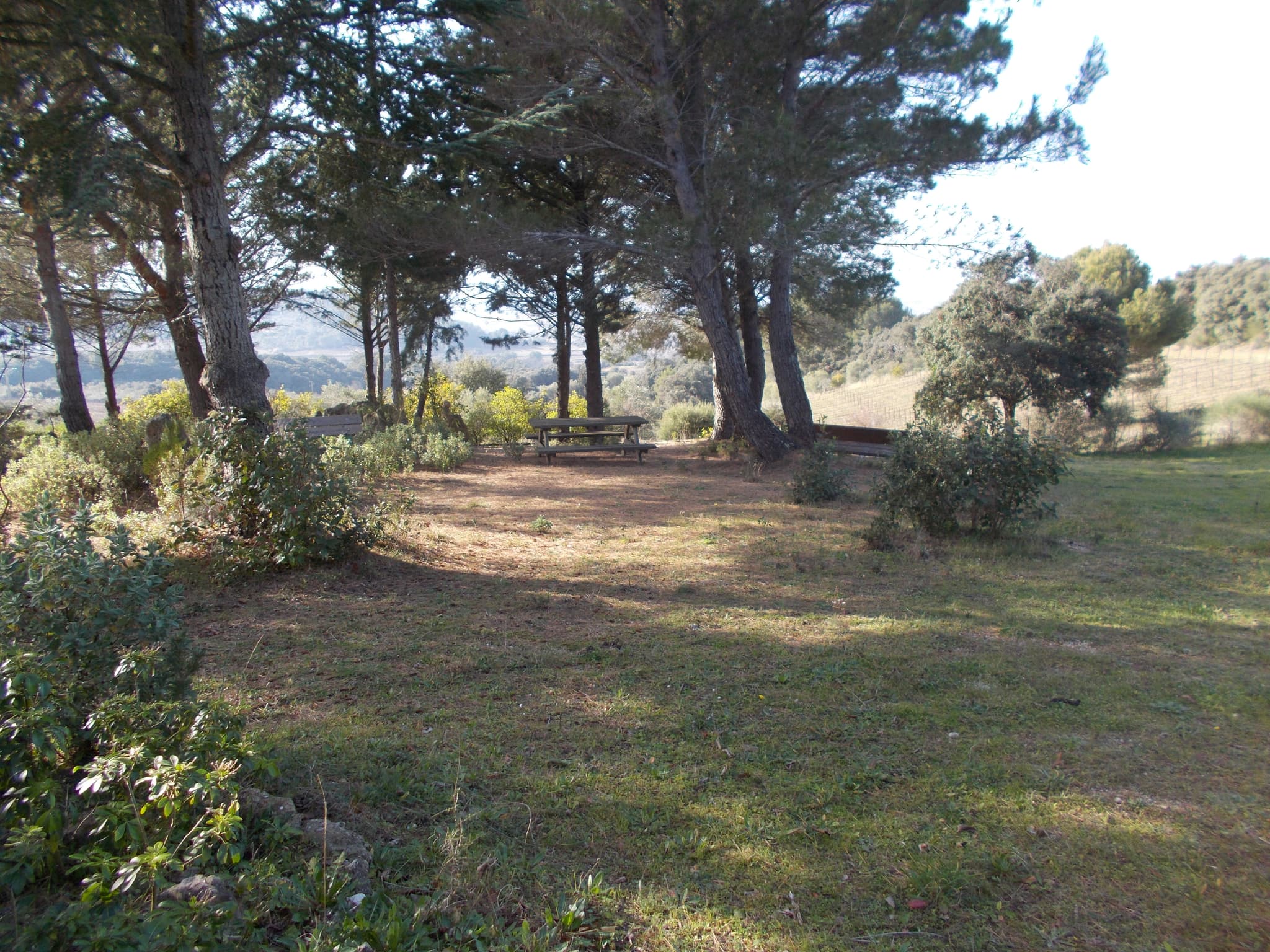 DSCN0376