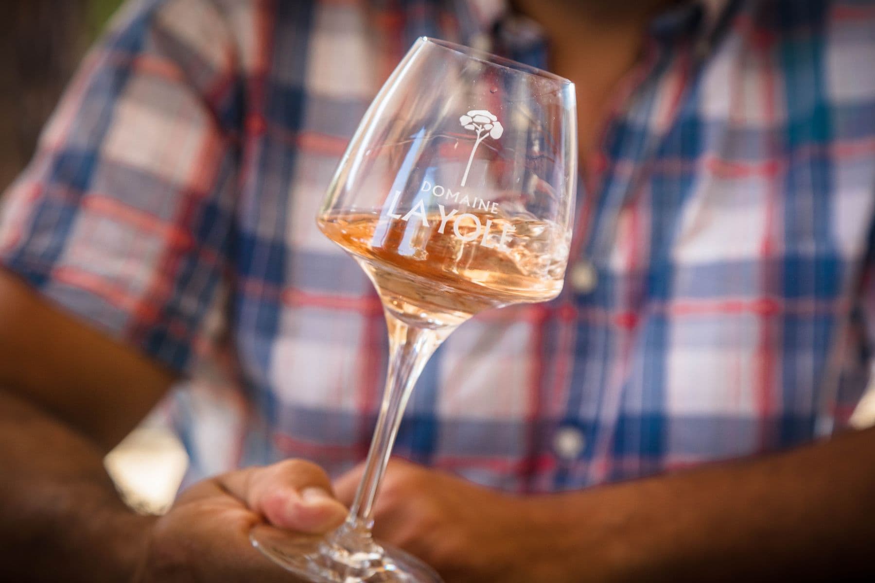 Domaine de la Yole-Vendres_10