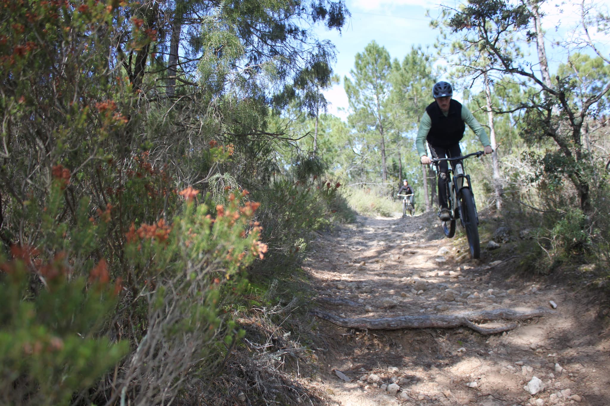 VTT Rando