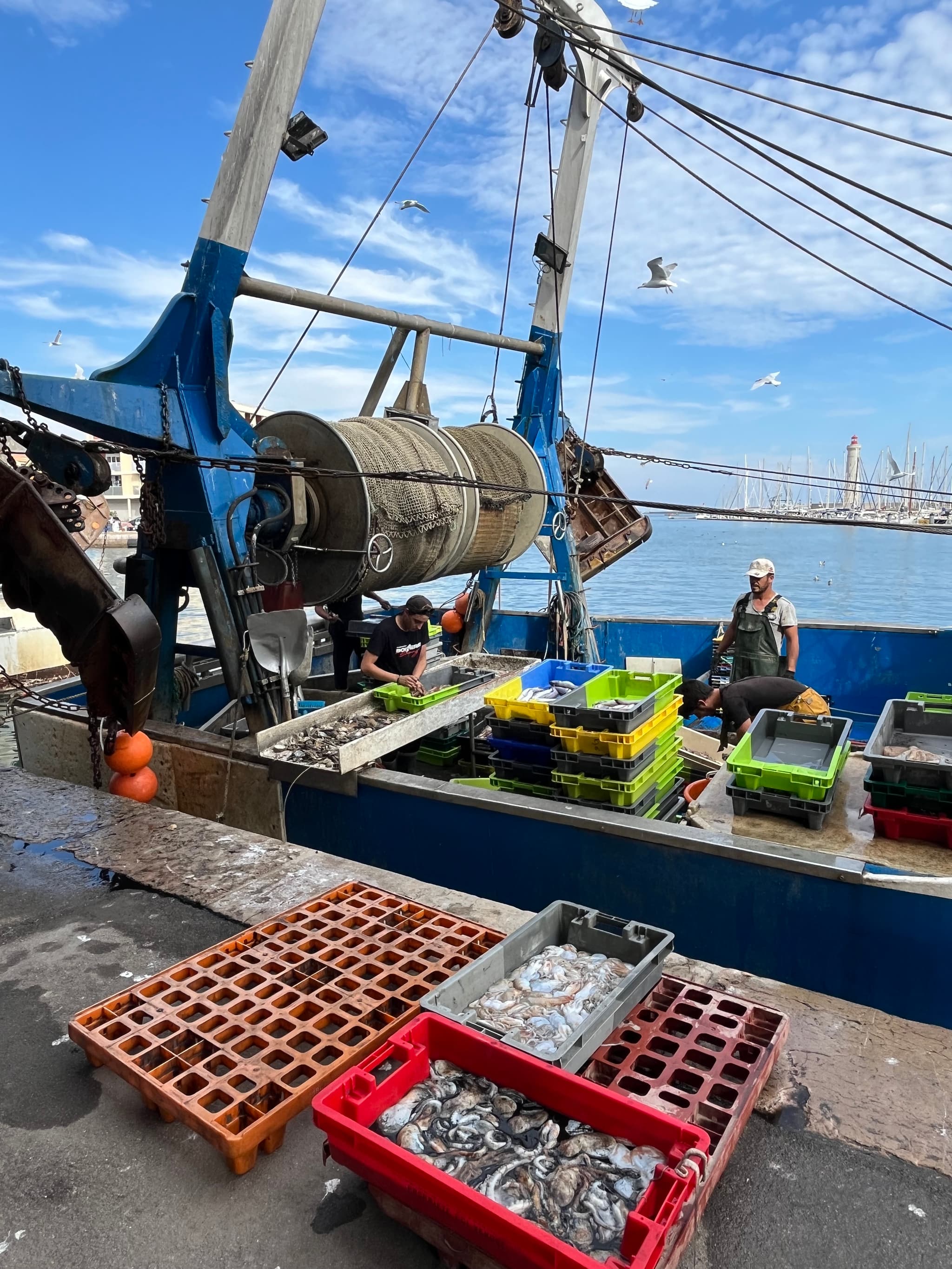 Chalutier à la criée du Port de Sète