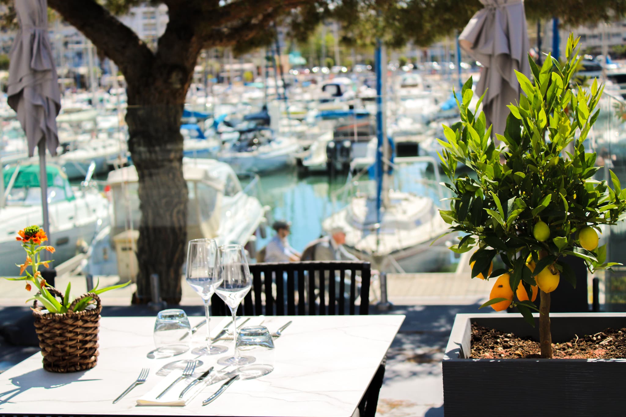 Restaurant montpellier avec terrasse