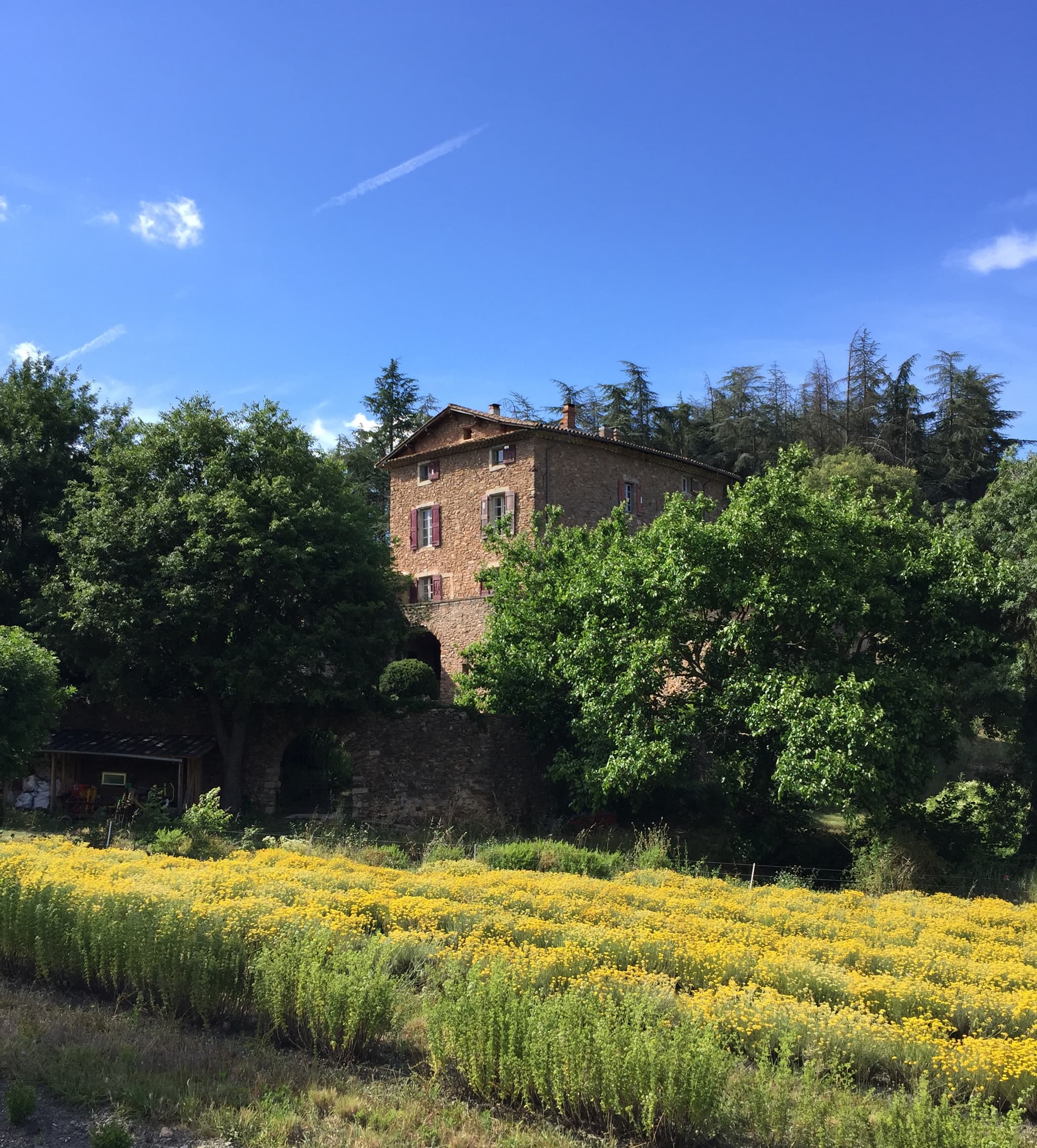 Maison d'hôtes et champ d'immortelle