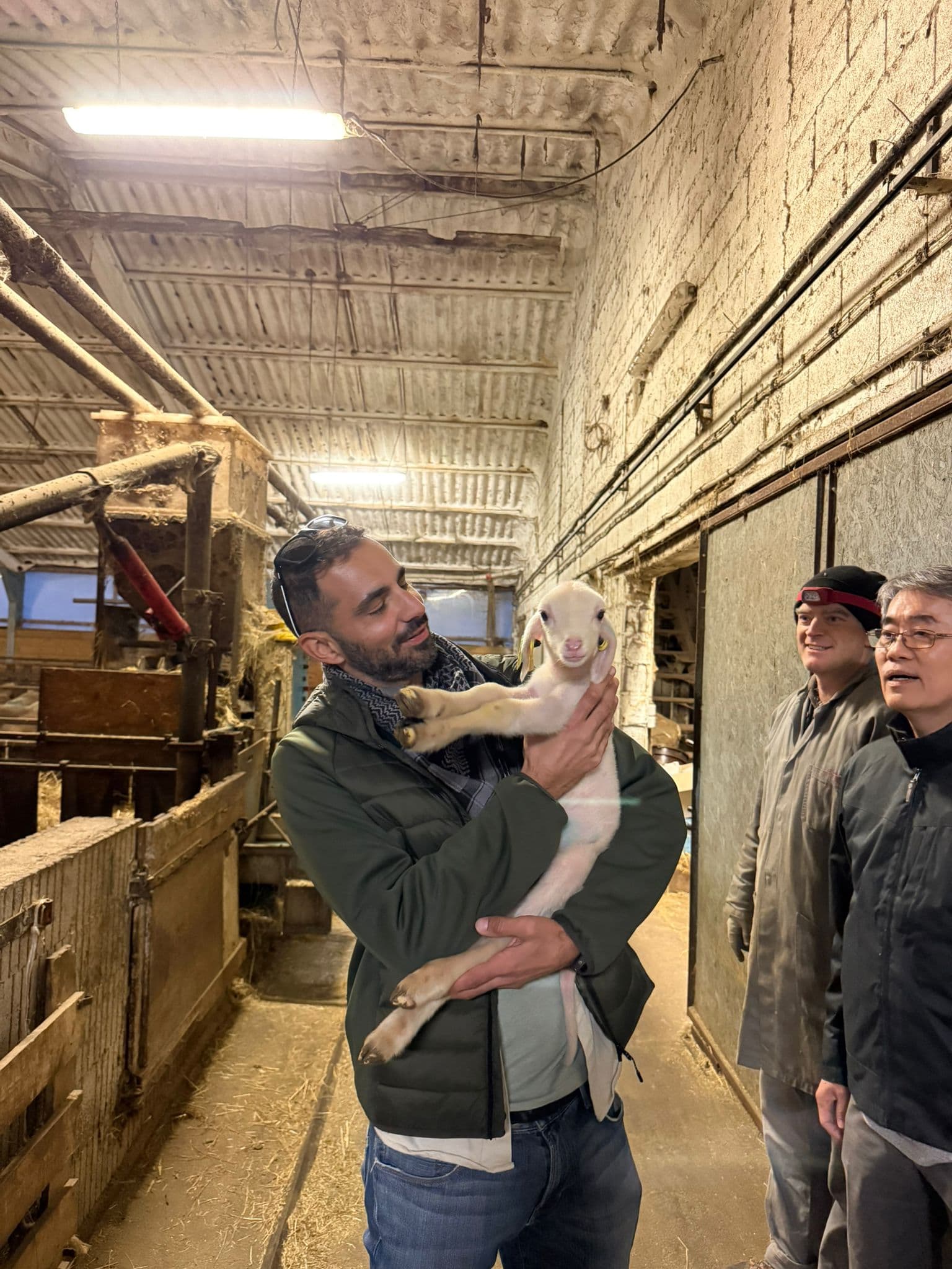 Immersion dans une ferme du Larzac