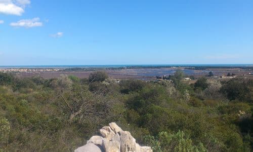 Vue proche