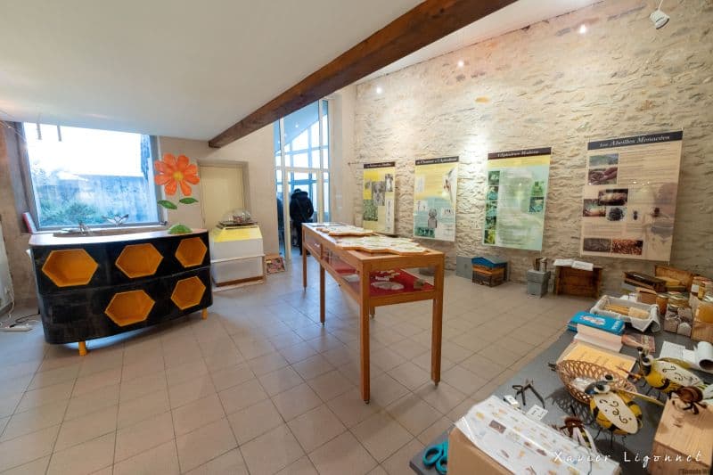 Maison_de_l_abeille_X-LIGONNET