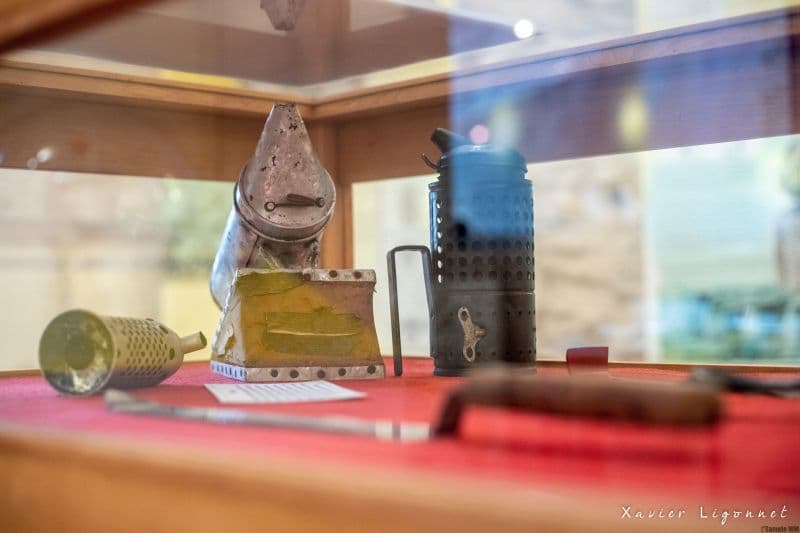 Maison_de_l_abeille3_X-LIGONNET