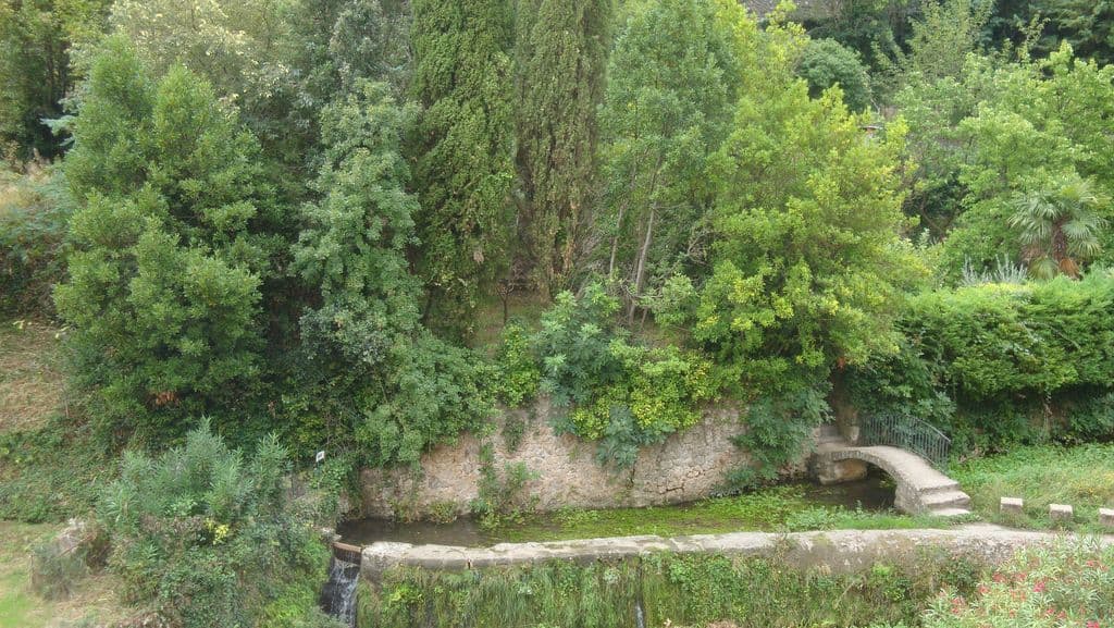 La cardabelle 5
