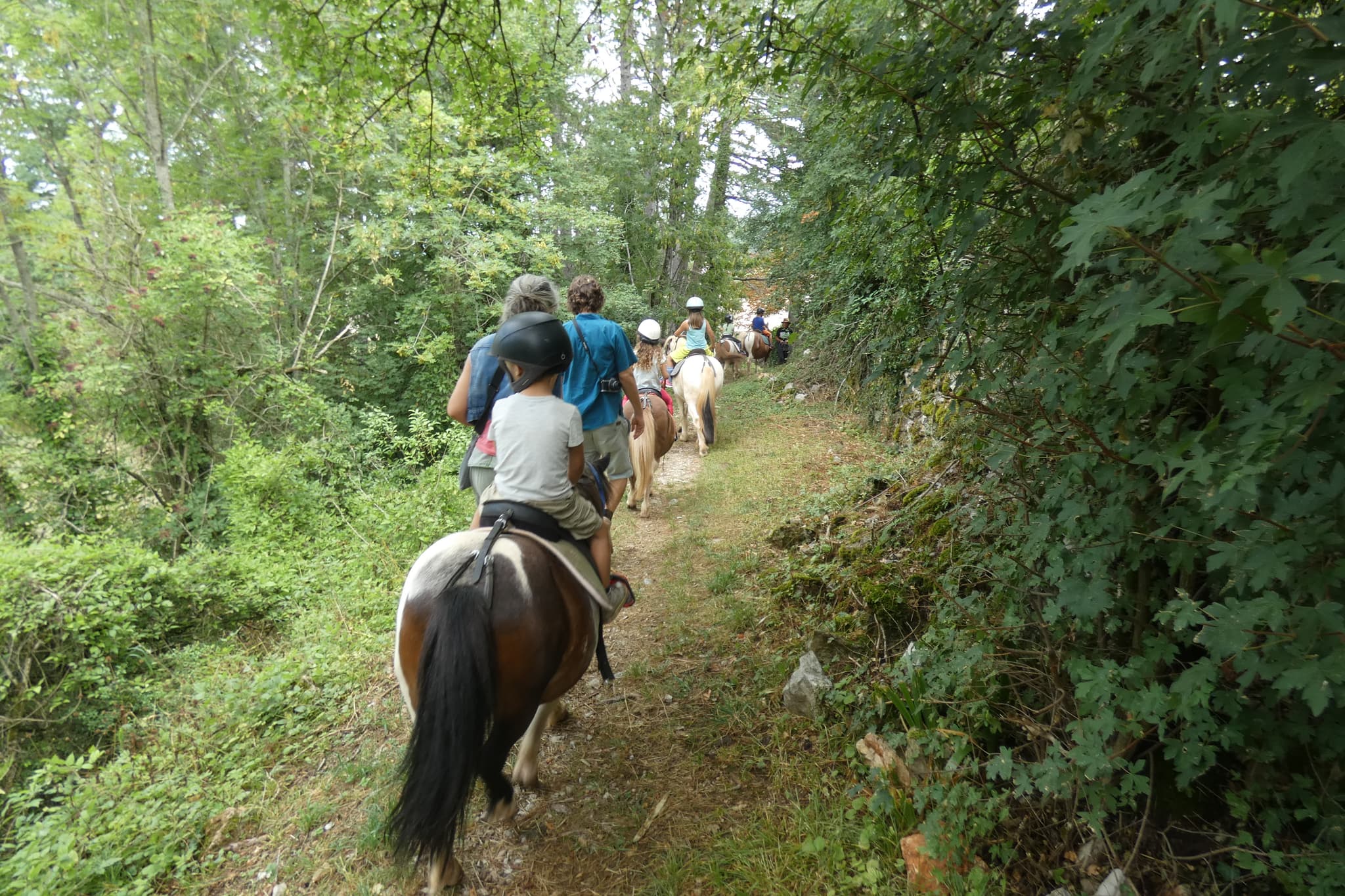 EQUI LARZAC N--6-2020-