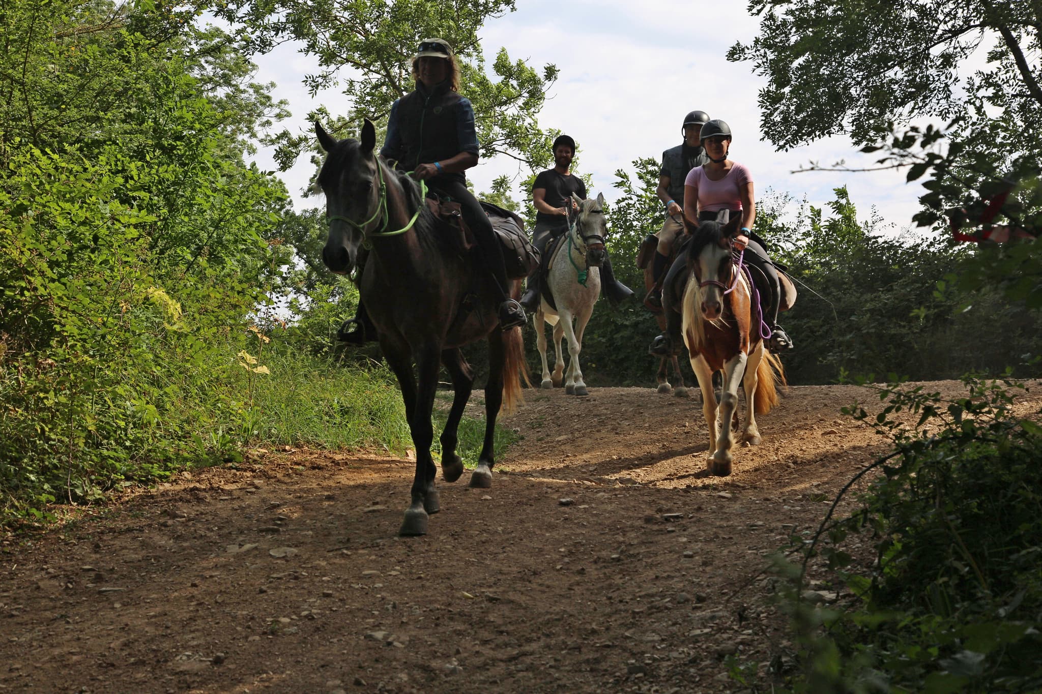 EQUI LARZAC N-1-2020