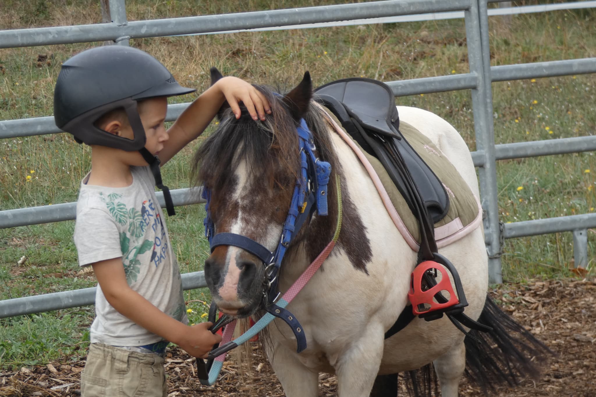 EQUI LARZAC N-4--2020-