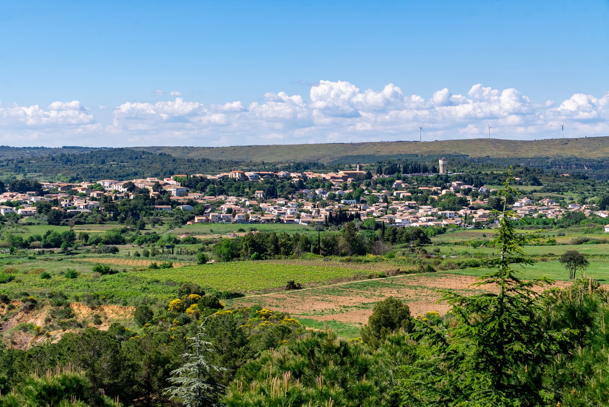 LA PLAINE DE VILLEVEYRAC-MONTAGNAC