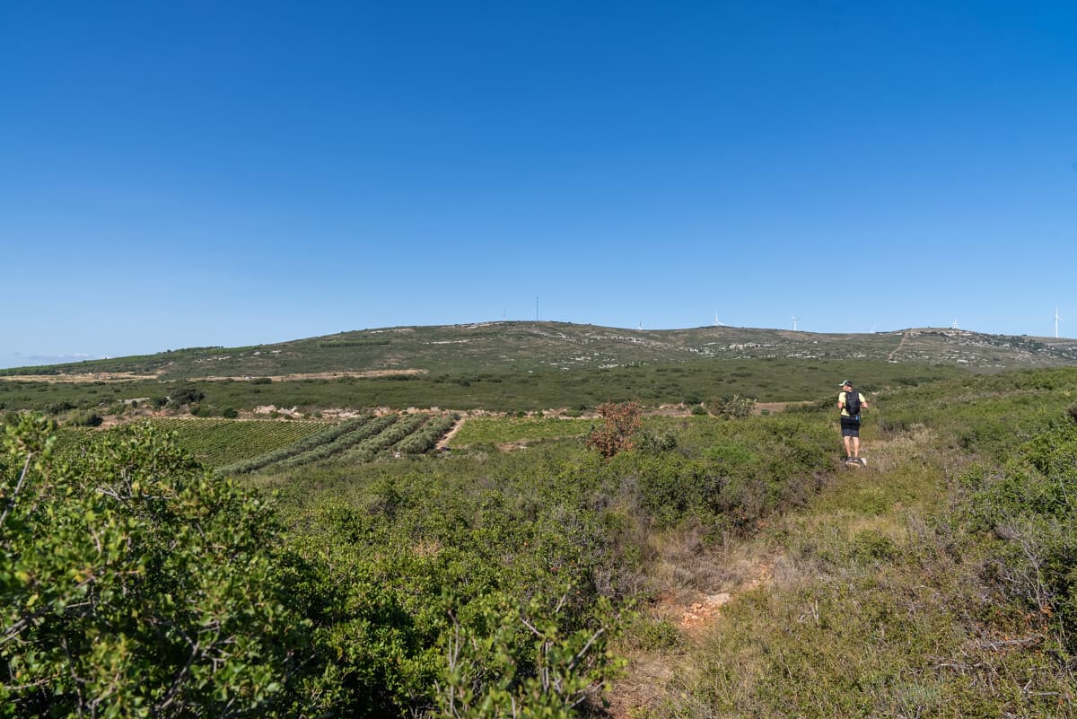Les collines de la Moure