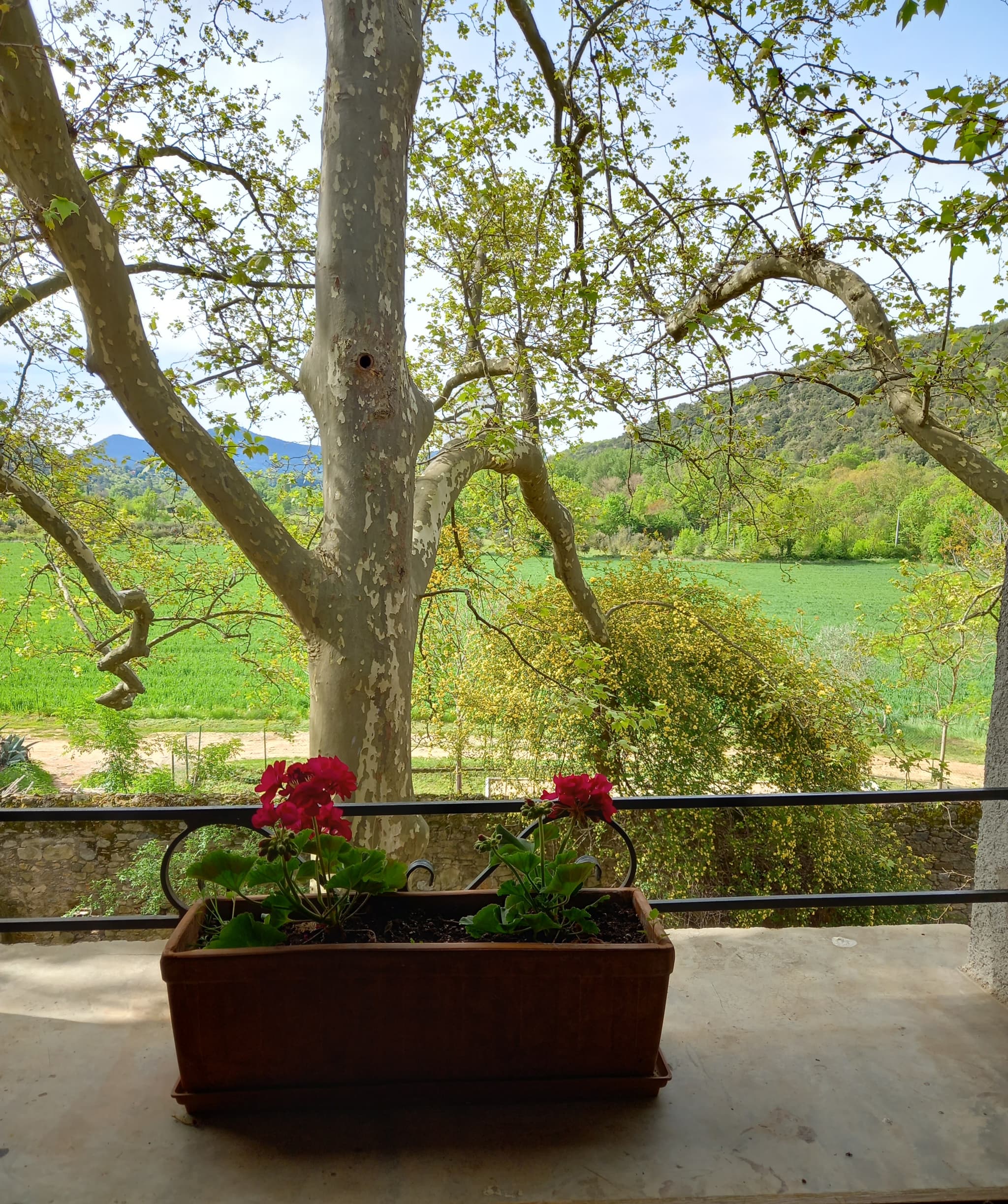 VUE CHAMBRE 2