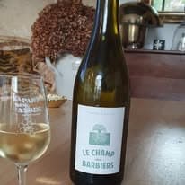 Vins