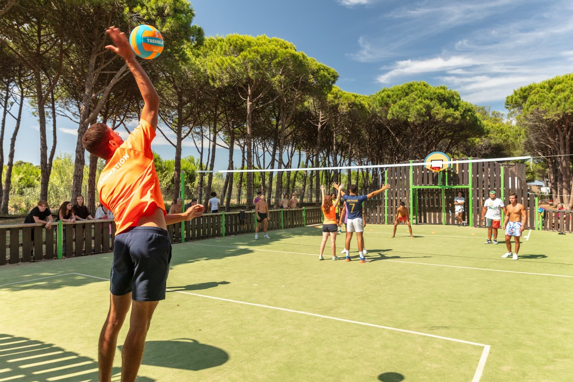 Volley