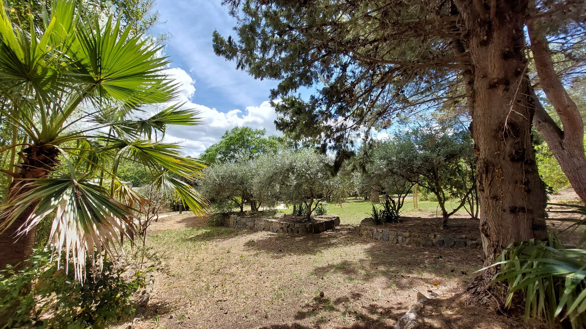 Vue parc 2 Mas Aubrilha