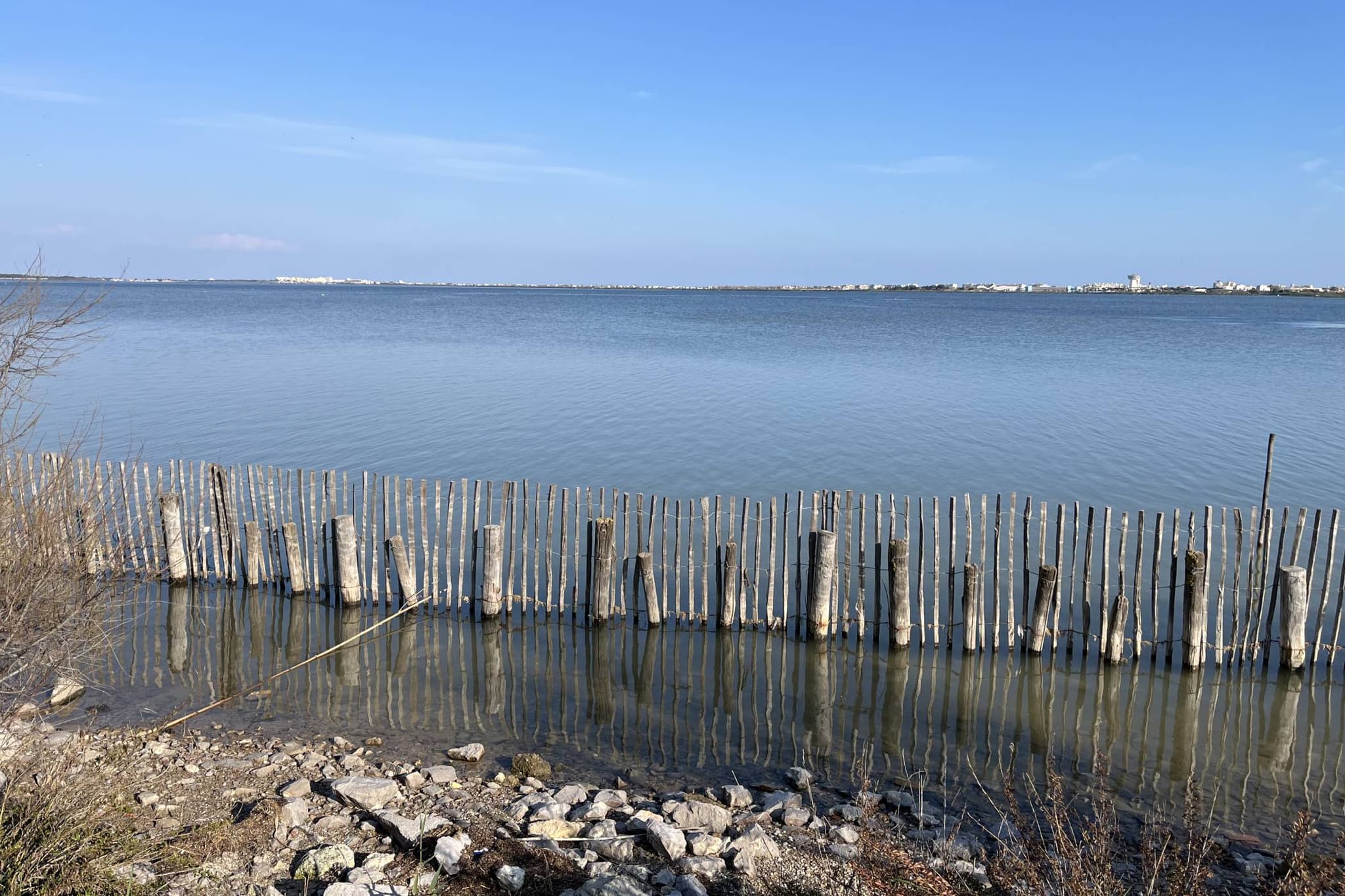 etang-mejean