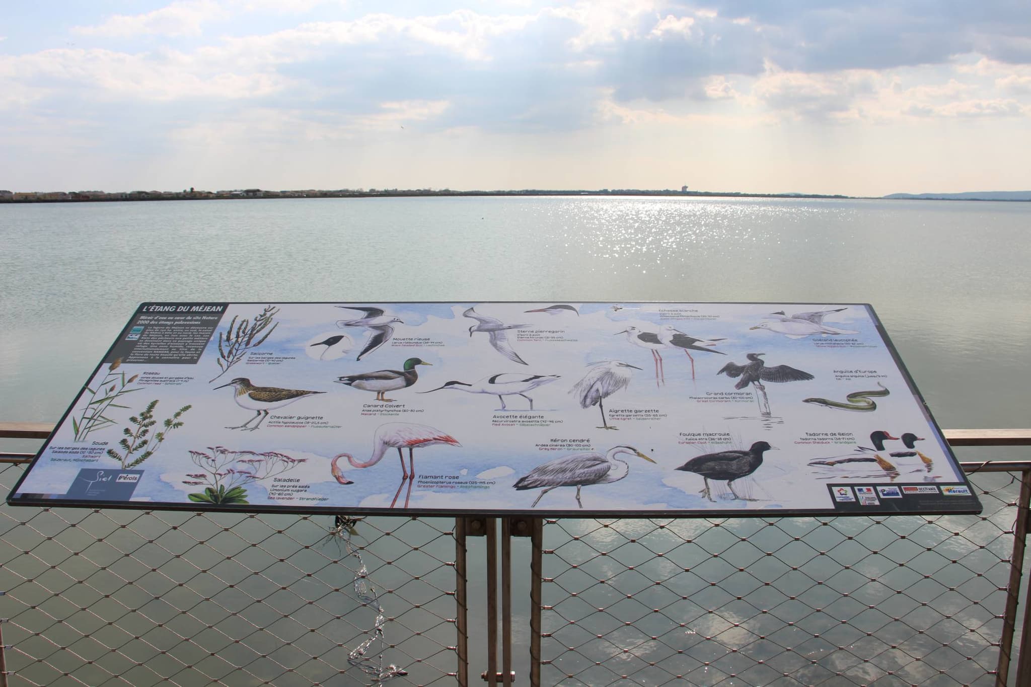 etang-perols