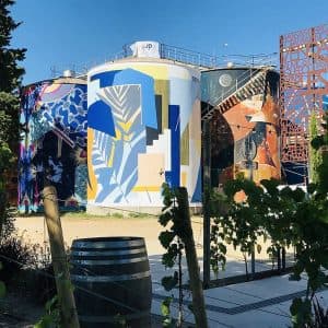 fresque_vue_platane-1-300x300