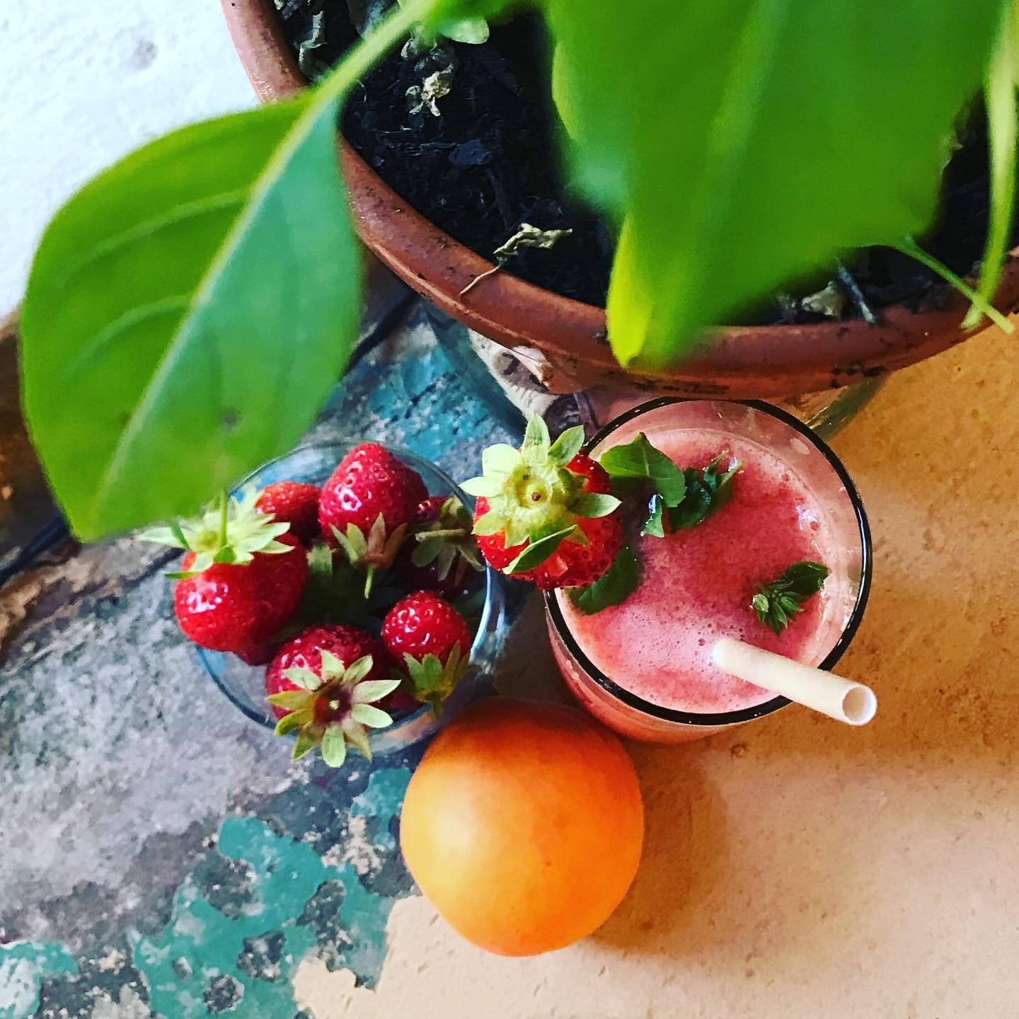 la muse broc fruit