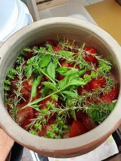 lactofermentation (2)