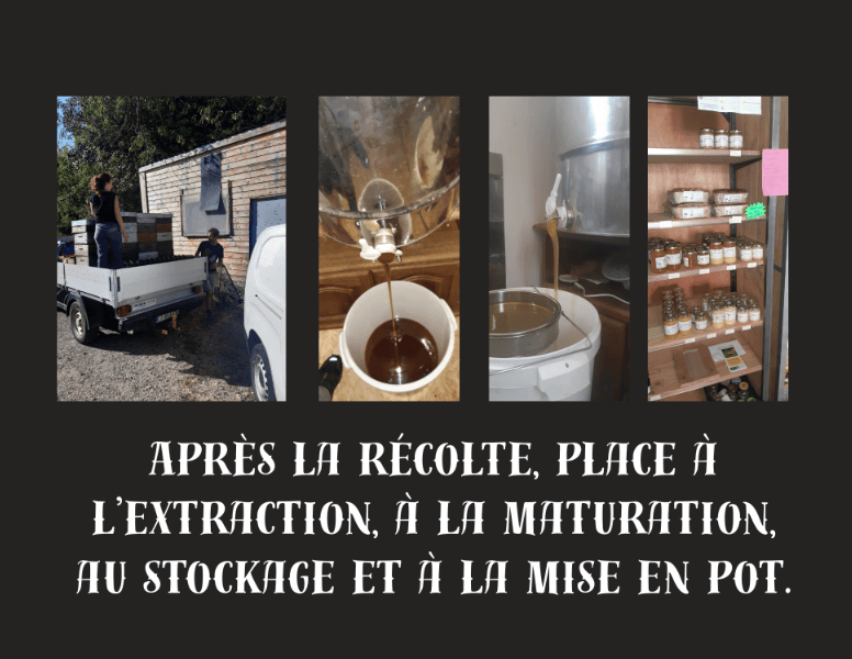 photo more chevalier 5