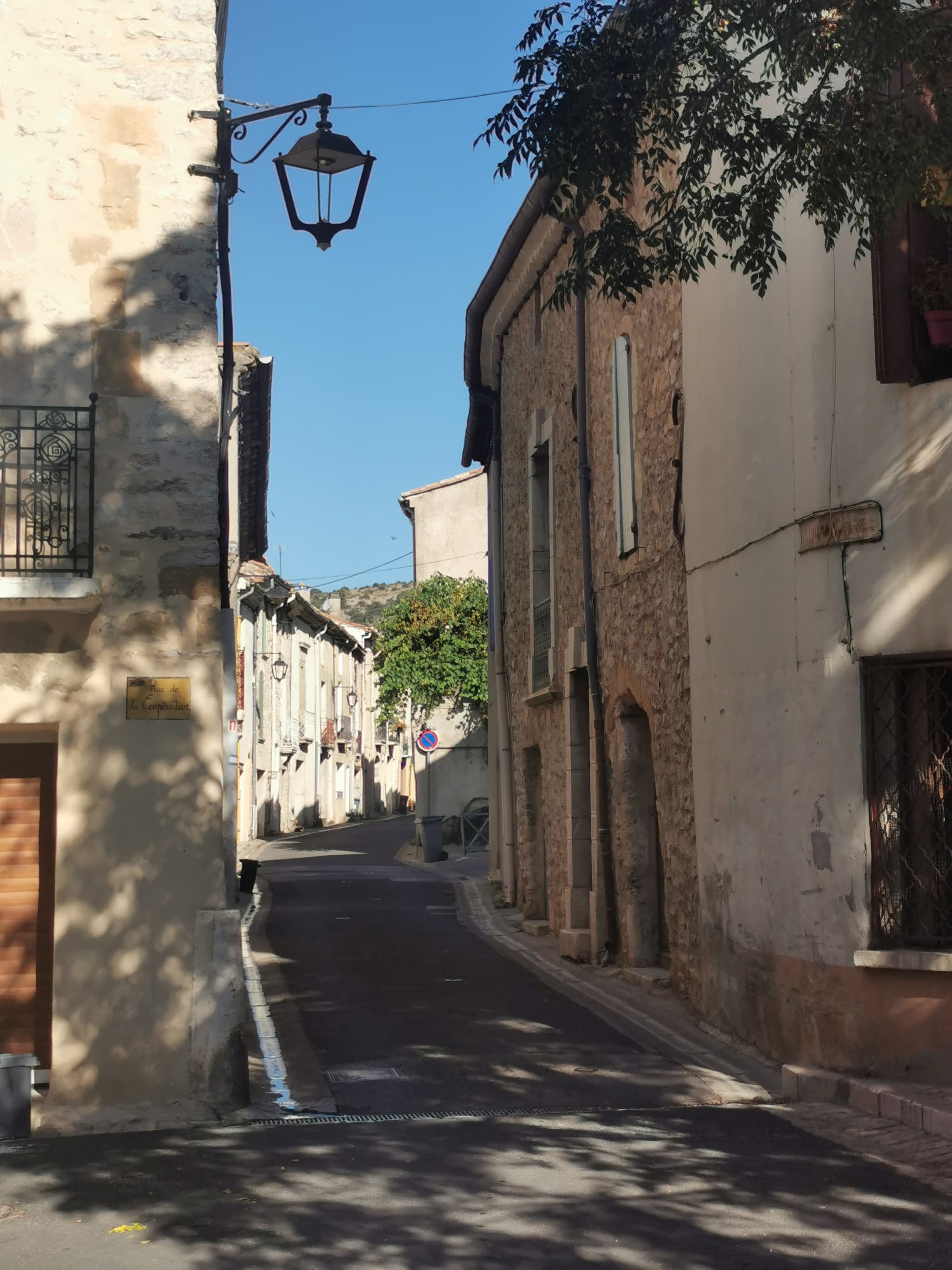 rue