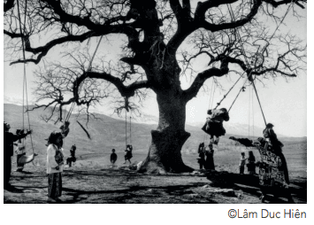©Lâm Duc Hiên