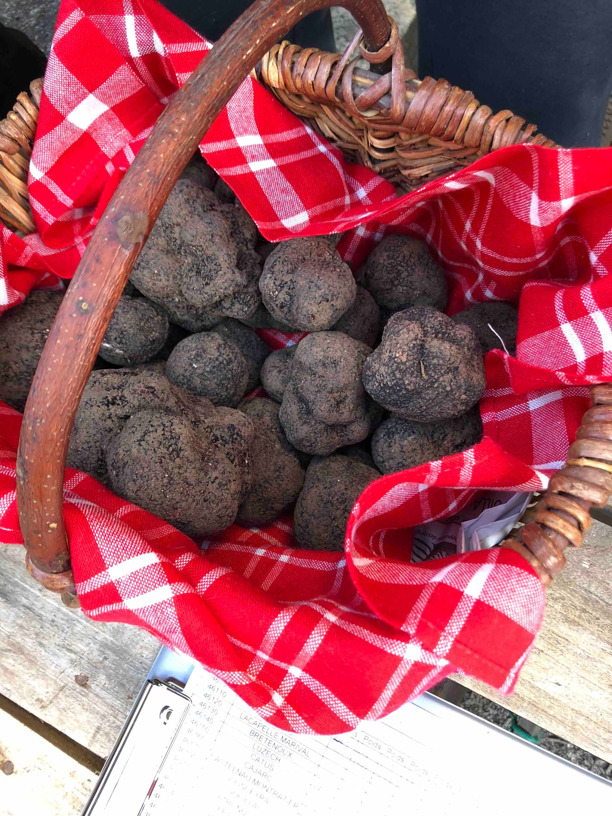 Truffes Noires de Montcuq