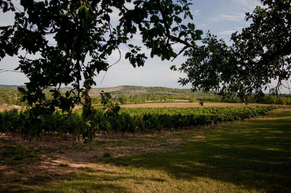 domaine du souleillan