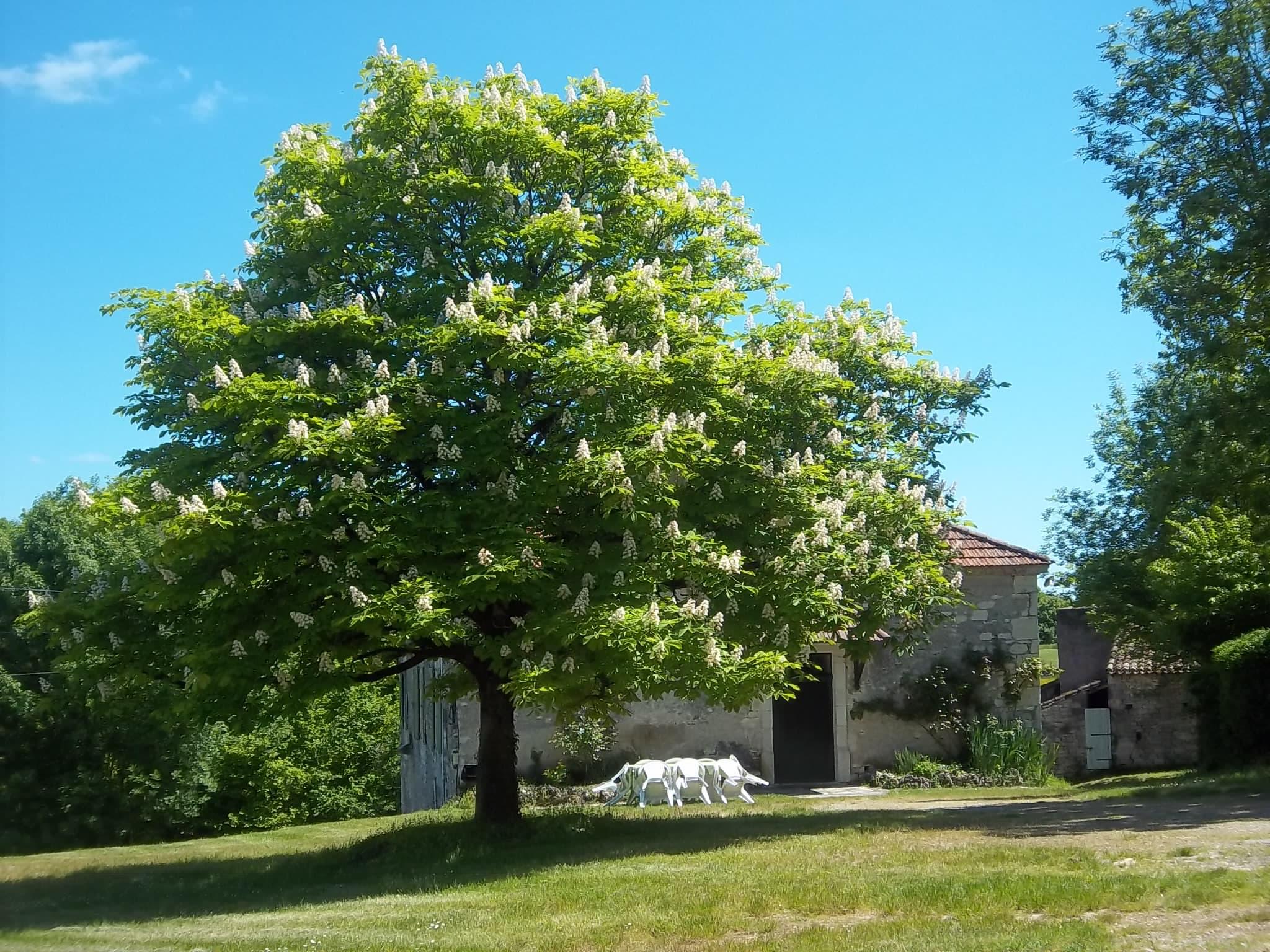 maison extérieur