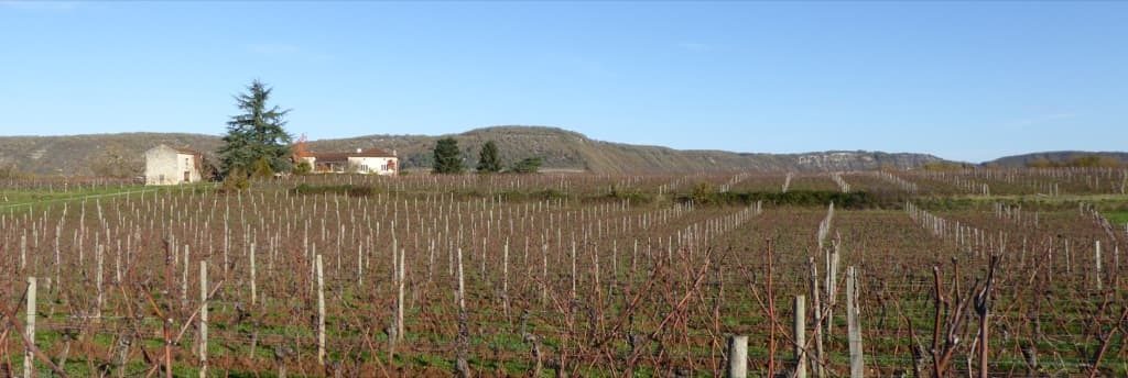 Clos Dauliac