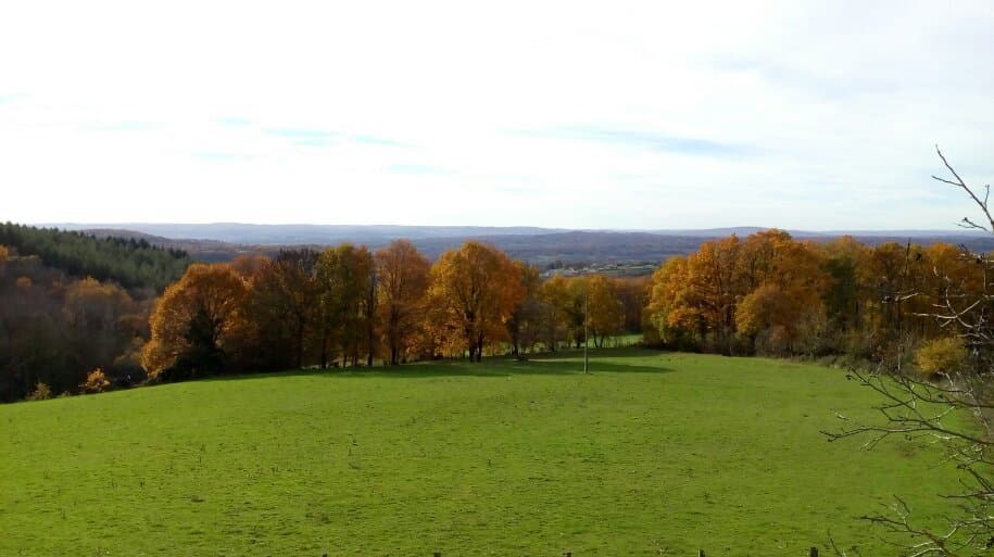 vue