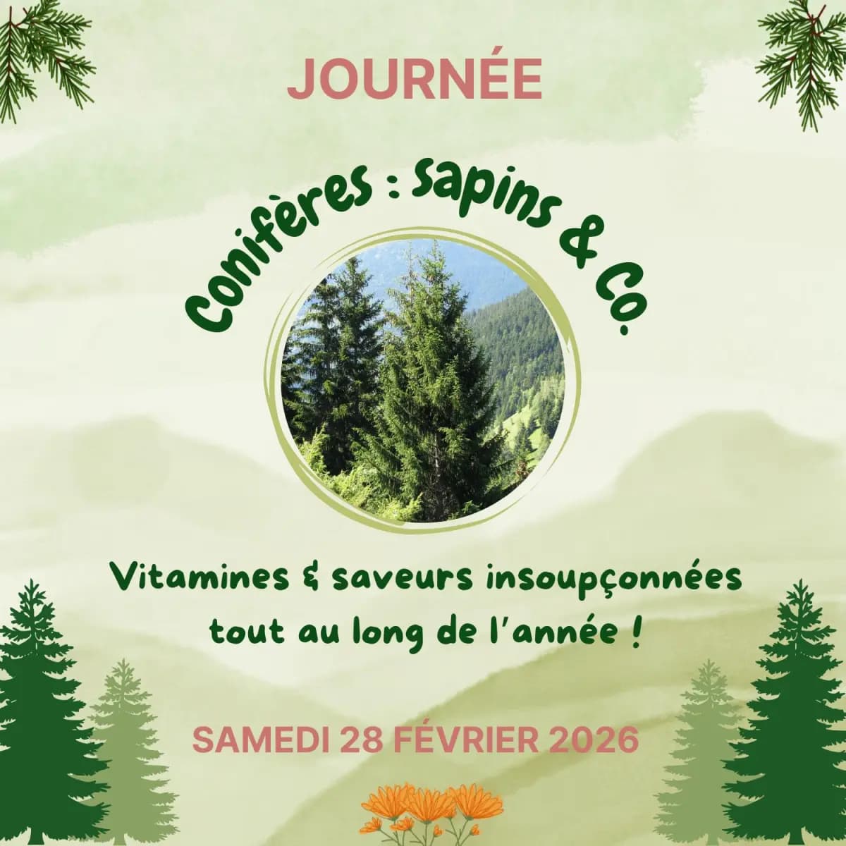 Stage, conifères : vitamines et saveurs insoupçonnées à Thémines