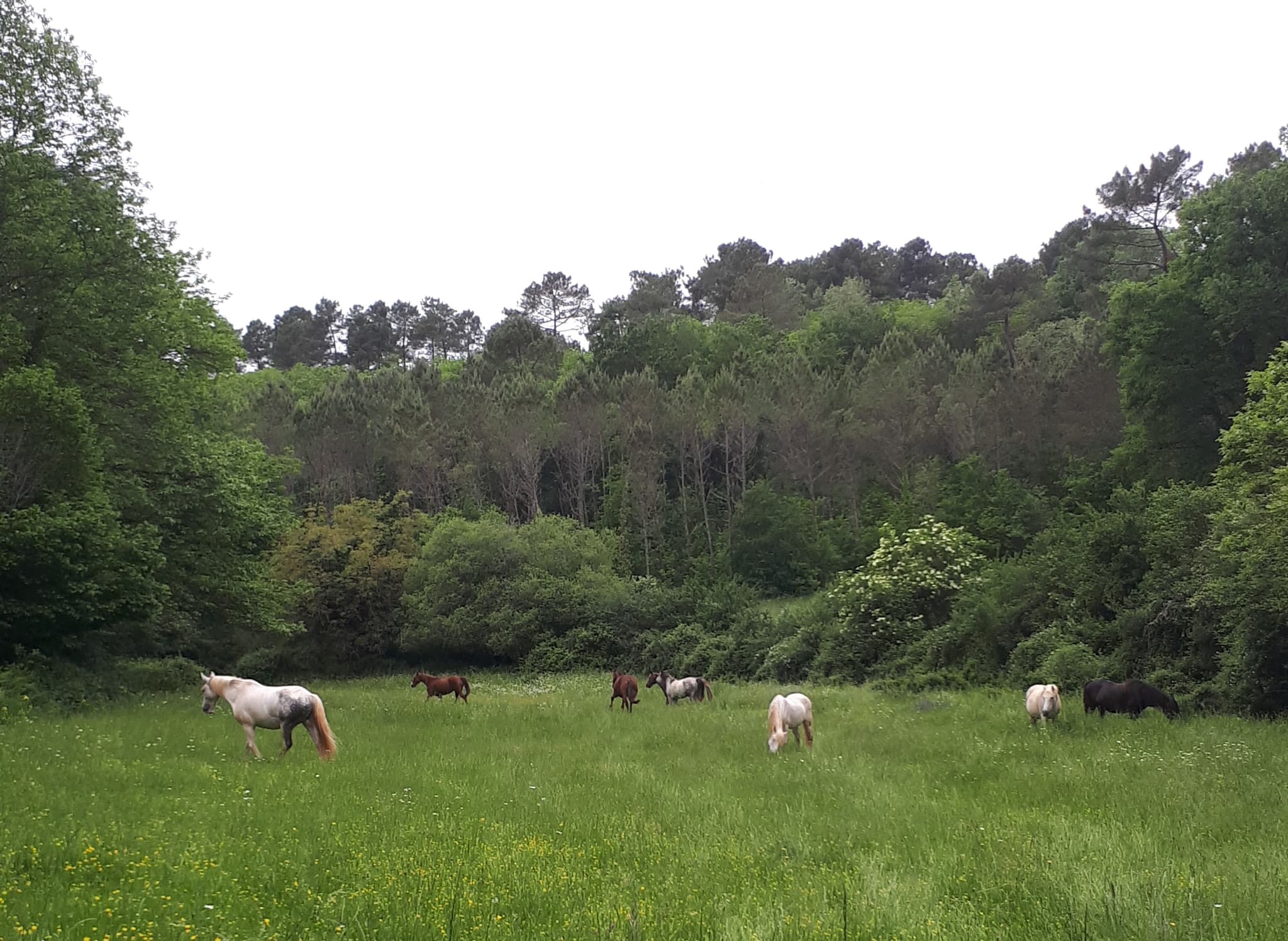 Camping à la ferme de La Fontaine