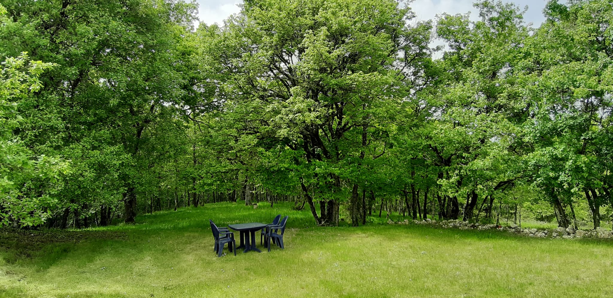 Déjeuner dans la nature