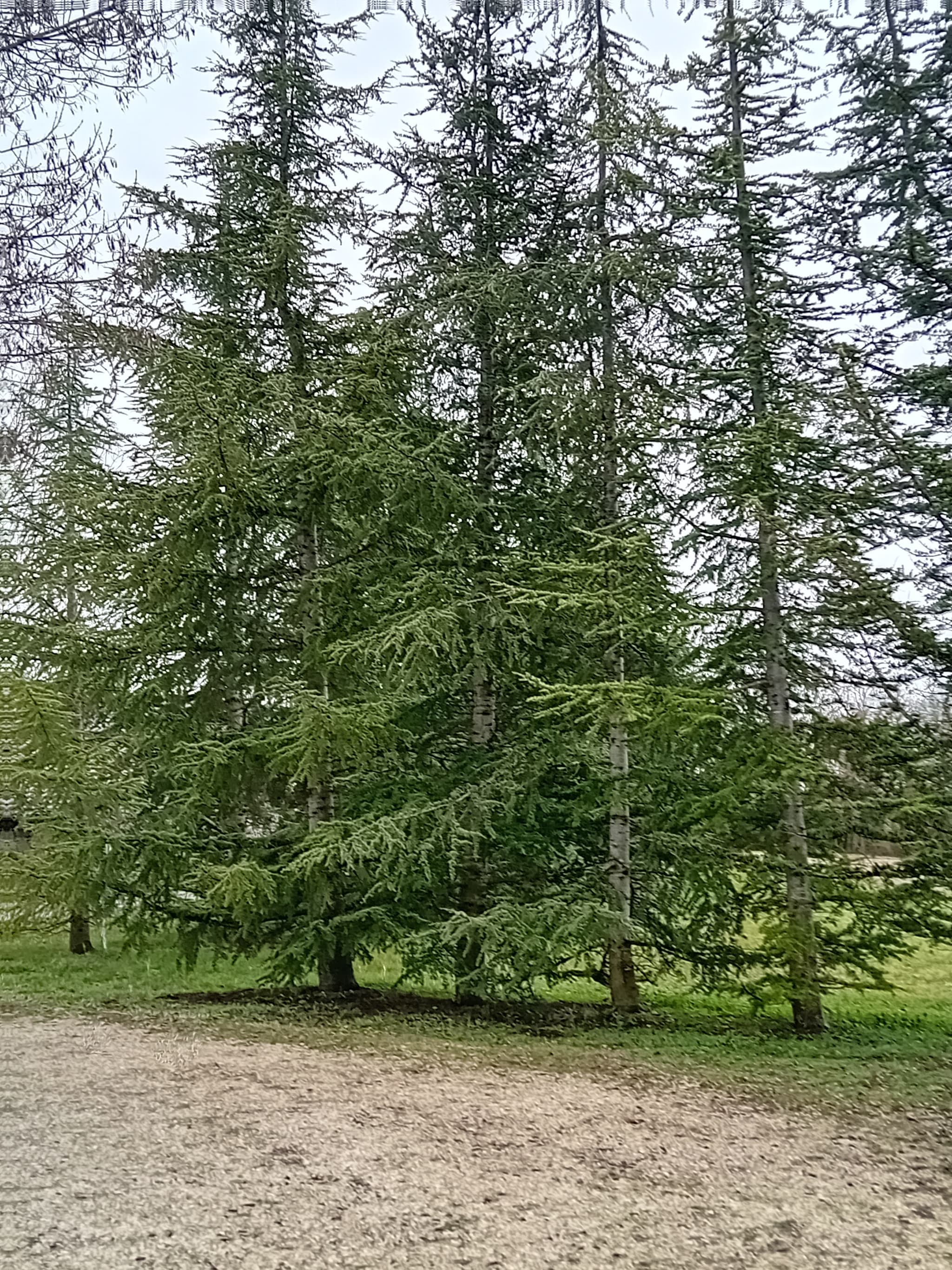 Au Petit Repos