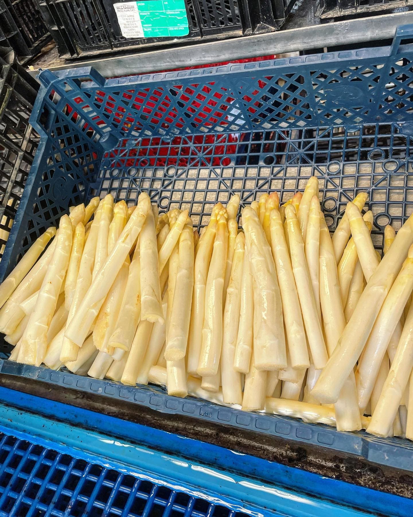 Gaec le saulou-baladou-asperges