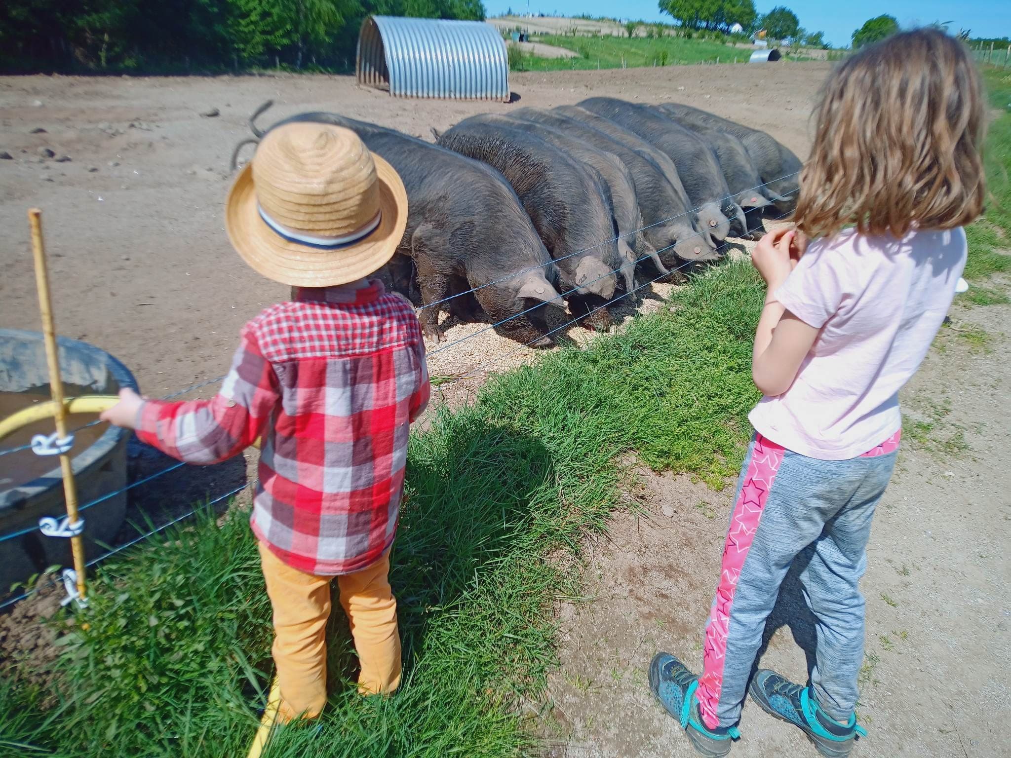 La ferme et les enfants